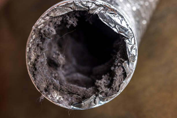Best Residential Air Duct Cleaning  in South Apopka, FL
